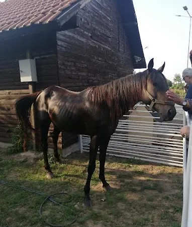 Serbesler Botanik, No 1 Comfortable 사카리아