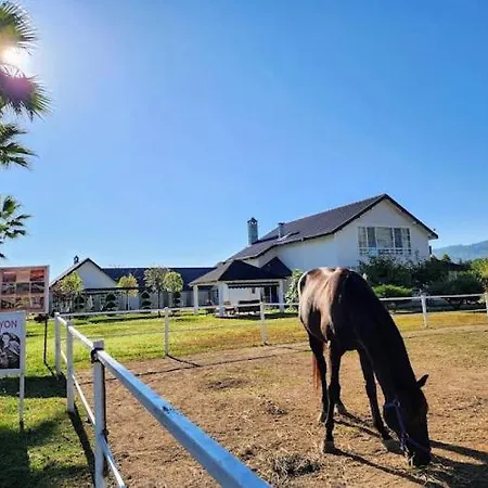 Serbesler Botanik, No 1 Comfortable * 사카리아