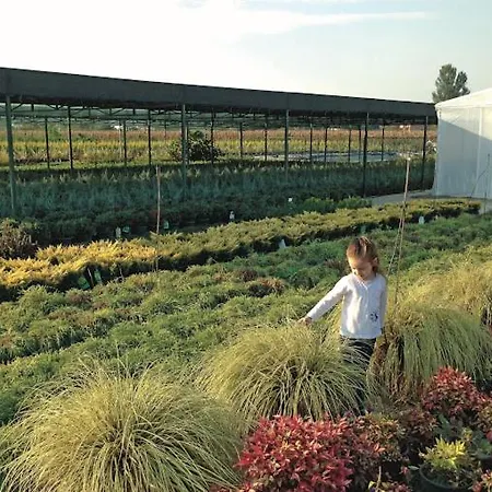 Serbesler Botanik, No 1 Comfortable 사카리아