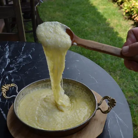 Serbesler Botanik, No 1 Comfortable * 사카리아