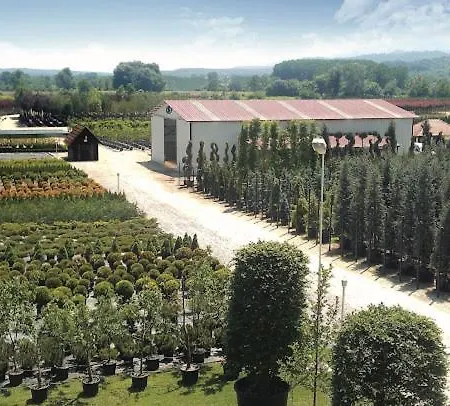 Serbesler Botanik, No 1 Comfortable