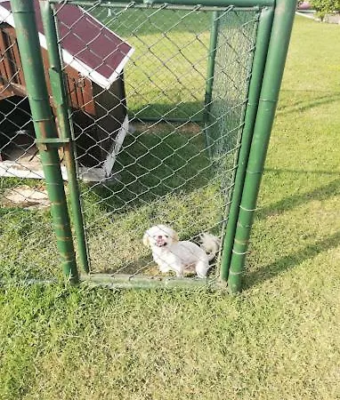 펜션 Serbesler Botanik, No 1 Comfortable